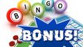 Best-bingo-bonus-300x170.jpg