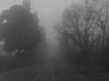 Foggy dark landscape by frank74it-d37jl6b.jpg